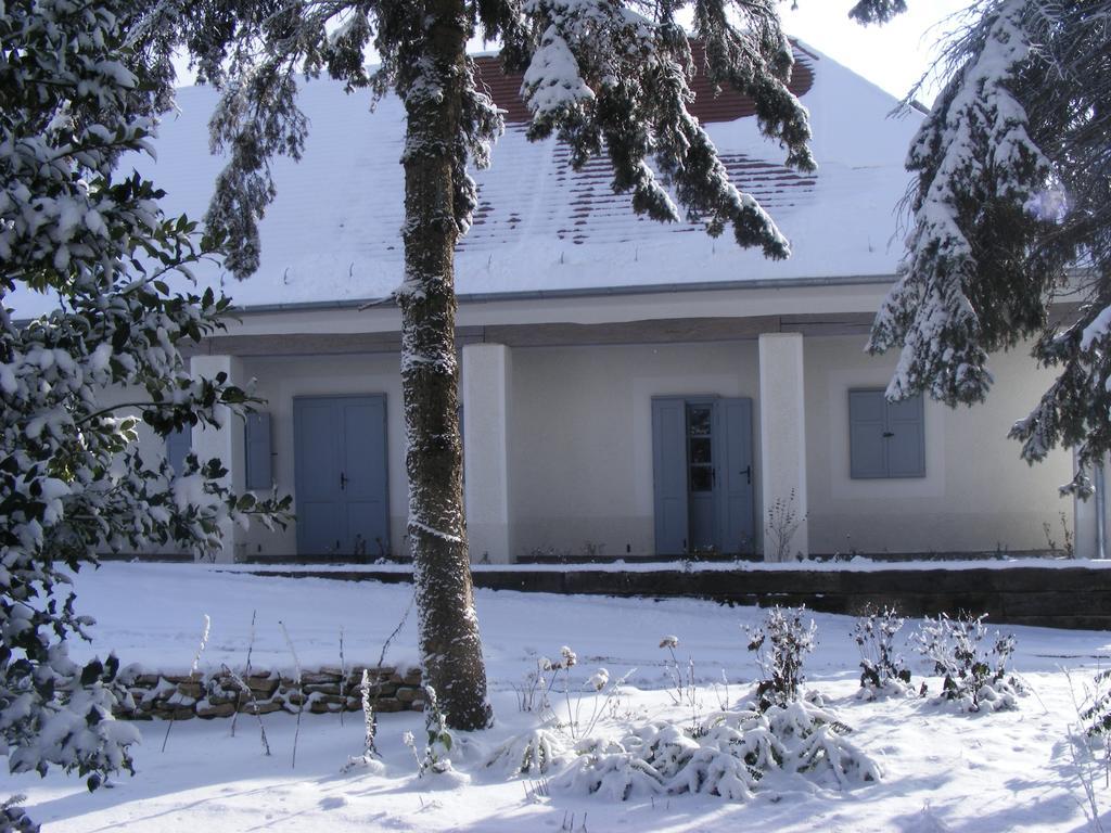 Bagolyvár Fogadó- Újfalusy Márton Vendégház Zirc Exterior foto