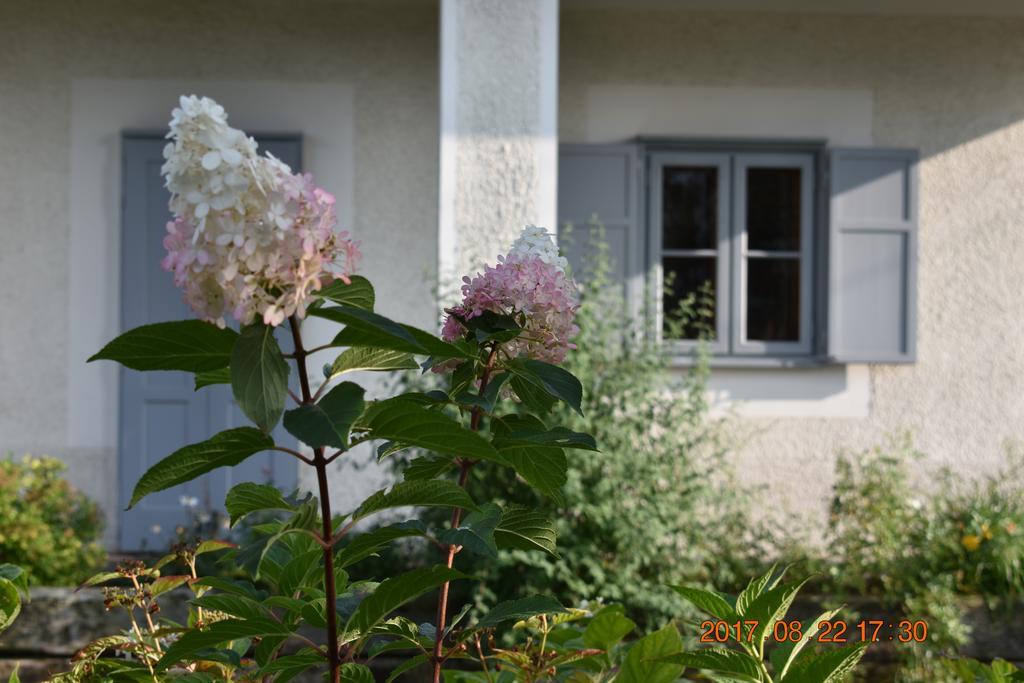 Bagolyvár Fogadó- Újfalusy Márton Vendégház Zirc Exterior foto