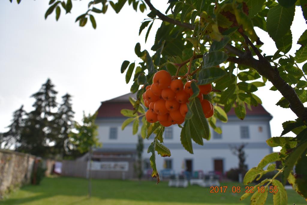 Bagolyvár Fogadó- Újfalusy Márton Vendégház Zirc Exterior foto